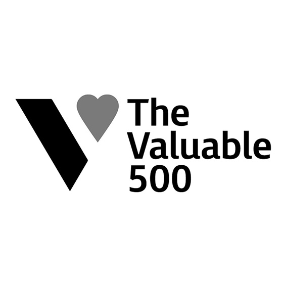 Valuable500